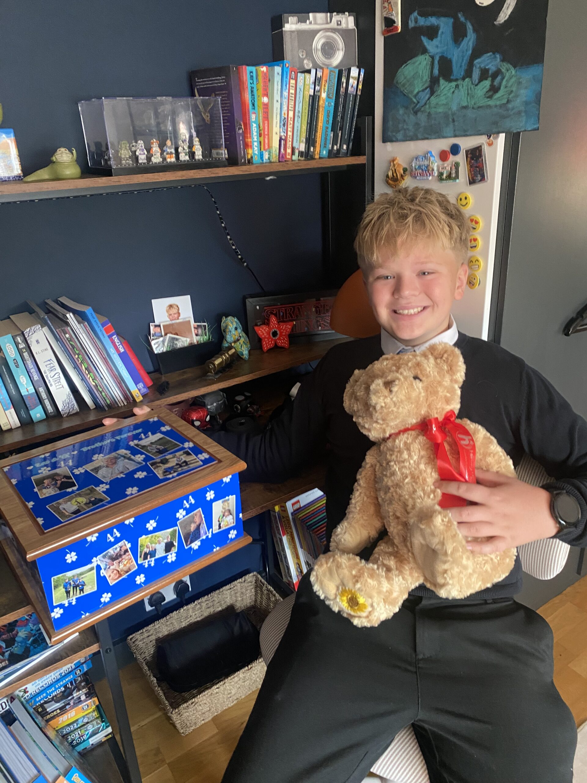 Siblings Memory box-George and Zac"s Mum
